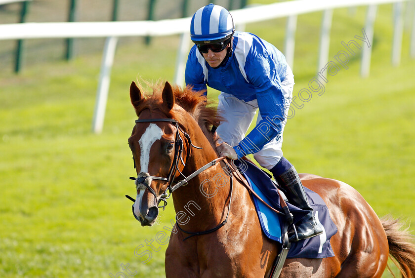 Ajrad-0002 
 AJRAD (Jim Crowley)
Yarmouth 15 Sep 2020 - Pic Steven Cargill / Racingfotos.com