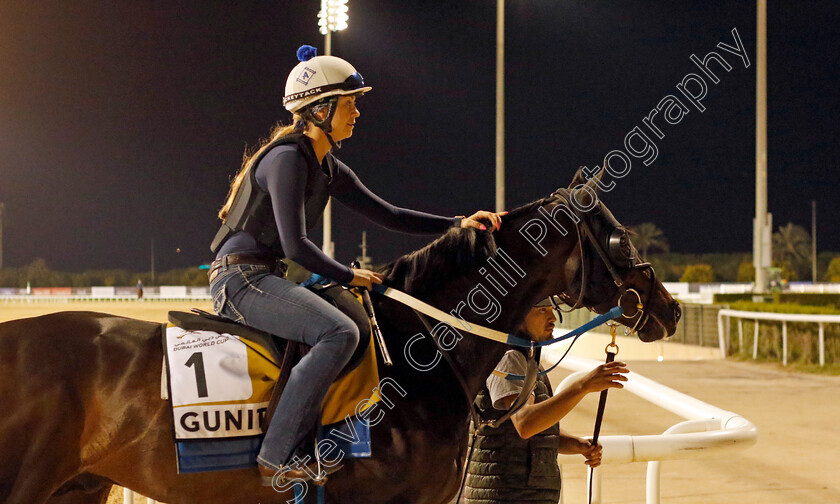 Gunite-0002 
 GUNITE training for the Golden Shaheen
Meydan, Dubai, 23 Mar 2023 - Pic Steven Cargill / Racingfotos.com