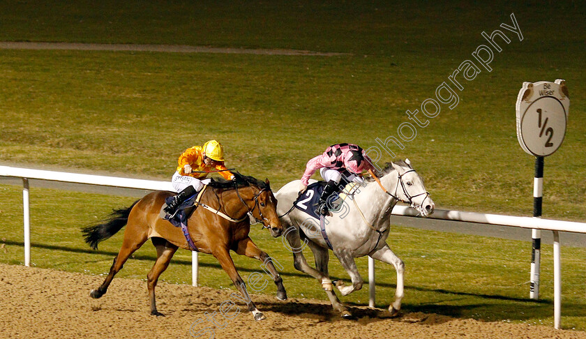 Flaming-Marvel-0004 
 FLAMING MARVEL (left, David Probert) beats ULSTER (right) in The Betway Live Casino Handicap
Wolverhampton 26 Feb 2019 - Pic Steven Cargill / Racingfotos.com