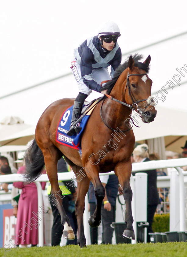 Passenger-0001 
 PASSENGER (Richard Kingscote)
Epsom 3 Jun 2023 - Pic Steven Cargill / Racingfotos.com