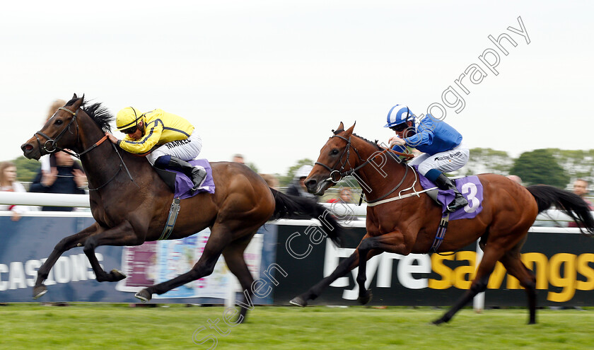 Kodiac-Pride-0004 
 KODIAC PRIDE (Tom Marquand) beats MAYDANNY (right) in The Skidby Novice Stakes
Beverley 29 May 2019 - Pic Steven Cargill / Racingfotos.com