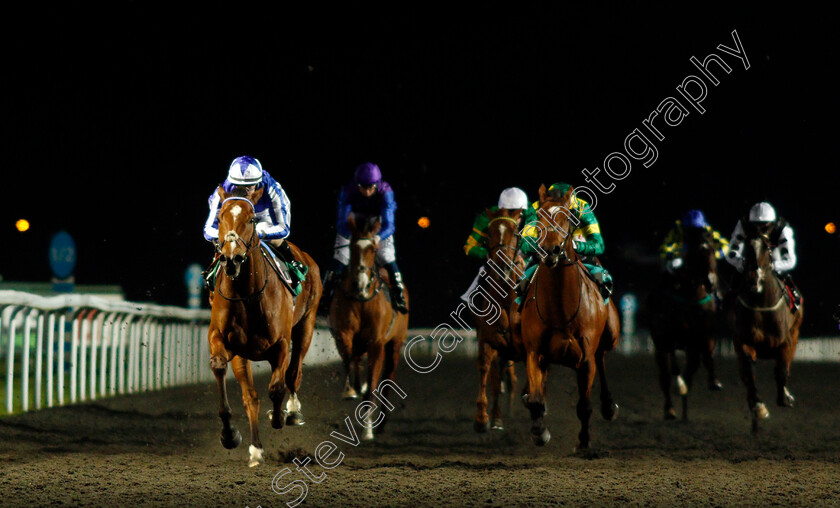 Top-Fox-0003 
 TOP FOX (Richard Kingscote) wins The Unibet Casino Deposit £10 Get £40 Bonus Maiden Stakes
Kempton 24 Feb 2021 - Pic Steven Cargill / Racingfotos.com