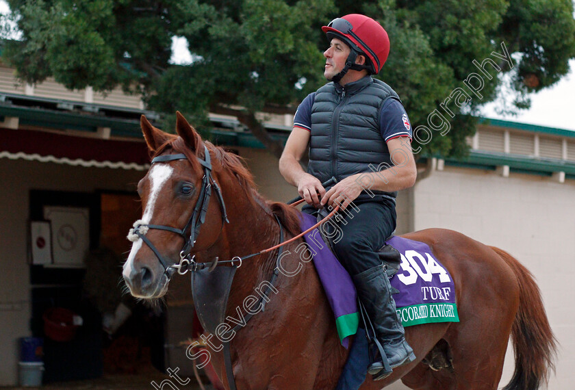 Decorated-knight-0002 
 DECORATED KNIGHT training for The Breeders' Cup Turf at Del Mar USA, 1 Nov 2017 - Pic Steven Cargill / Racingfotos.com