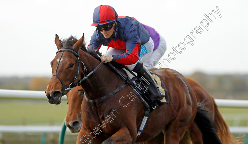 Misty-Sky-0002 
 MISTY SKY (Aidan Keeley) wins The Prestige Vehicles Fillies Restricted Novice Stakes
Newmarket 23 Oct 2024 - Pic Steven Cargill / Racingfotos.com