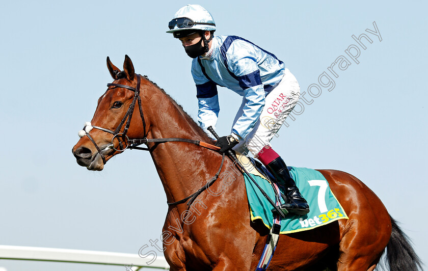 Recovery-Run-0002 
 RECOVERY RUN (Oisin Murphy)
Sandown 23 Apr 2021 - Pic Steven Cargill / Racingfotos.com