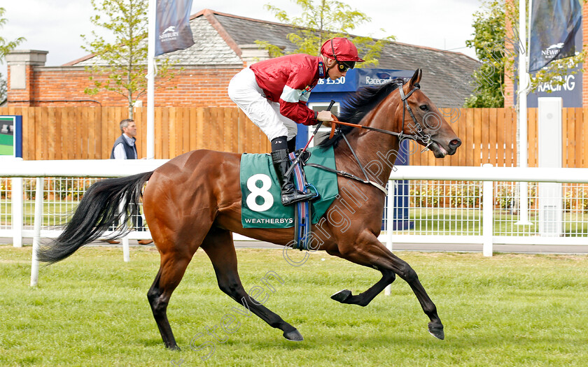 Manolith-0001 
 MANOLITH (Jason Watson)
Newbury 20 Jul 2019 - Pic Steven Cargill / Racingfotos.com