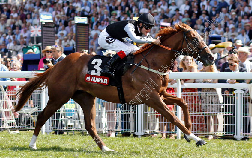 Rumble-Inthejungle-0005 
 RUMBLE INTHEJUNGLE (Tom Queally) wins The Markel Insurance Molecomb Stakes
Goodwood 1 Aug 2018 - Pic Steven Cargill / Racingfotos.com