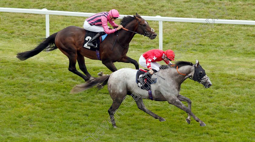 Red-Force-One-0003 
 RED FORCE ONE (Martin Harley) beats SWISS STORM in The Wellchild Handicap
Newbury 18 Aug 2018 - Pic Steven Cargill / Racingfotos.com