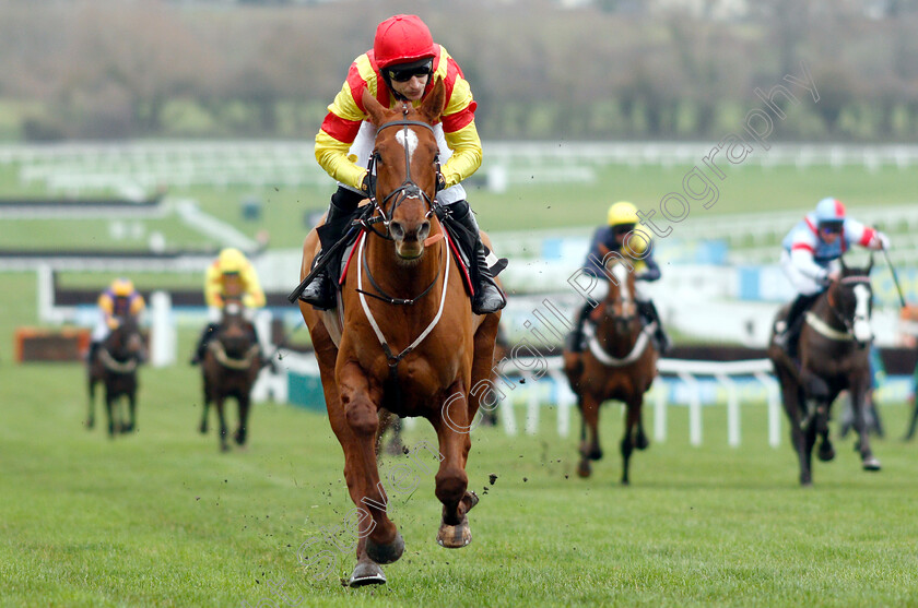 Jarveys-Plate-0005 
 JARVEYS PLATE (Paddy Brennan) wins The Ballymore Novices Hurdle
Cheltenham 1 Jan 2019 - Pic Steven Cargill / Racingfotos.com