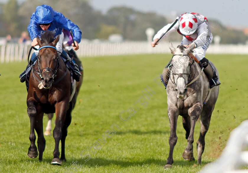 Marshall-Plan-and-The-Trader-0001 
 MARHSALL PLAN (left, William Buick) with THE TRADER (right, Ryan Moore)
Yarmouth 16 Sep 2021 - Pic Steven Cargill / Racingfotos.com