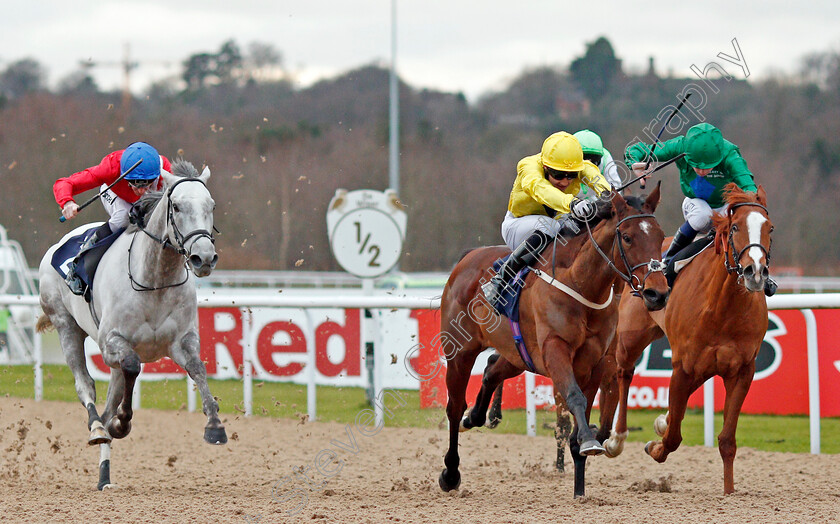 Summer-Icon-0003 
 SUMMER ICON (centre, Charles Bishop) beats RAVEN'S LADY (right) and DIAGNOSTIC (left) in The 32Red.com Fillies Conditions Stakes Wolverhampton 4 Jan 2017 - Pic Steven Cargill / Racingfotos.com