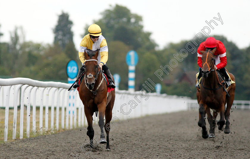 Quiet-Endeavour-0007 
 QUIET ENDEAVOUR (Hollie Doyle) wins The Call Star Sports On 08000 521 321 Nursery
Kempton 15 Aug 2018 - Pic Steven Cargill / Racingfotos.com