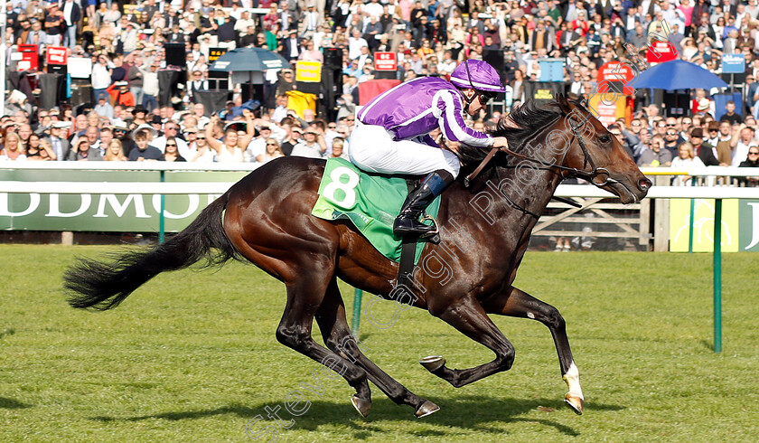 Mohawk-0008 
 MOHAWK (Donnacha O'Brien) wins The Juddmonte Royal Lodge Stakes
Newmarket 29 Sep 2018 - Pic Steven Cargill / Racingfotos.com