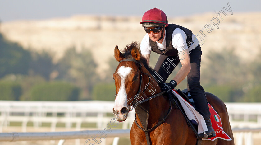 Point-Lonsdale-0012 
 POINT LONSDALE training for the Bahrain International Trophy
Kingdom of Bahrain 13 Nov 2024 - Pic Steven Cargill / Racingfotos.com