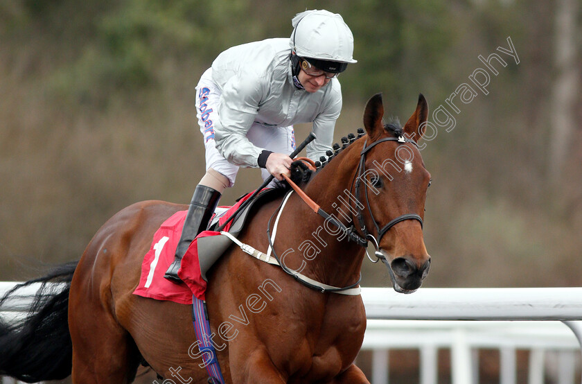 Matterhorn-0001 
 MATTERHORN (Joe Fanning) wins The Move Over To Matchbook Handicap
Kempton 6 Mar 2019 - Pic Steven Cargill / Racingfotos.com