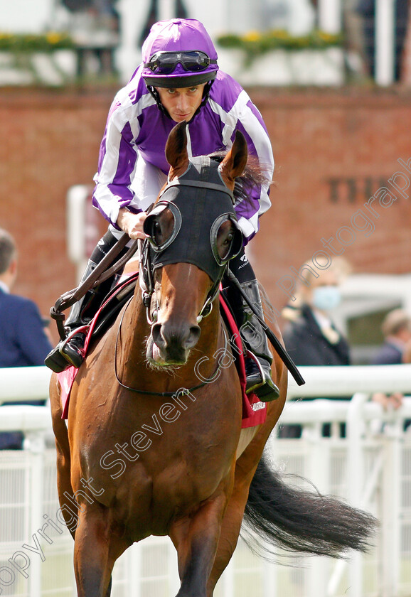 Order-Of-Australia-0001 
 ORDER OF AUSTRALIA (Ryan Moore)
Goodwood 28 Jul 2021 - Pic Steven Cargill / Racingfotos.com