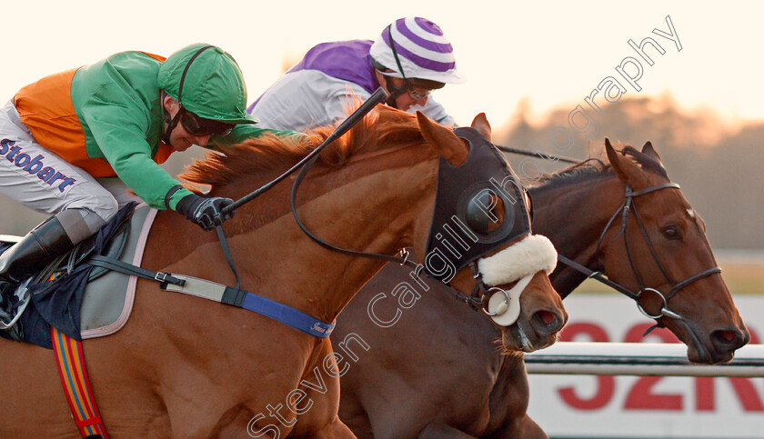 Star-Ascending-0003 
 STAR ASCENDING (left, Joe Fanning) beats SKY MARSHAL (right) in The Betway Casino Handicap Lingfield 23 Feb 2018 - Pic Steven Cargill / Racingfotos.com