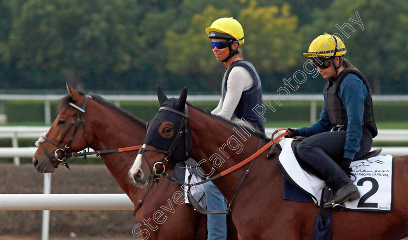 Drink-Dry-and-Onigiri-0002 
 DRINK DRY (left, Lucie Botti) with ONIGIRI (right) training at the Dubai Racing Carnival
Meydan 4 Jan 2024 - Pic Steven Cargill / Racingfotos.com