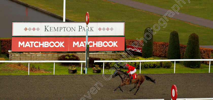 Jai-Hanuman-0003 
 JAI HANUMAN (Franny Norton) wins The Matchbook Time To Move Over Handicap
Kempton 6 Mar 2019 - Pic Steven Cargill / Racingfotos.com