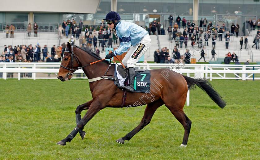 Restitution-0003 
 RESTITUTION (Tom Cannon)
Ascot 22 Jan 2022 - Pic Steven Cargill / Racingfotos.com