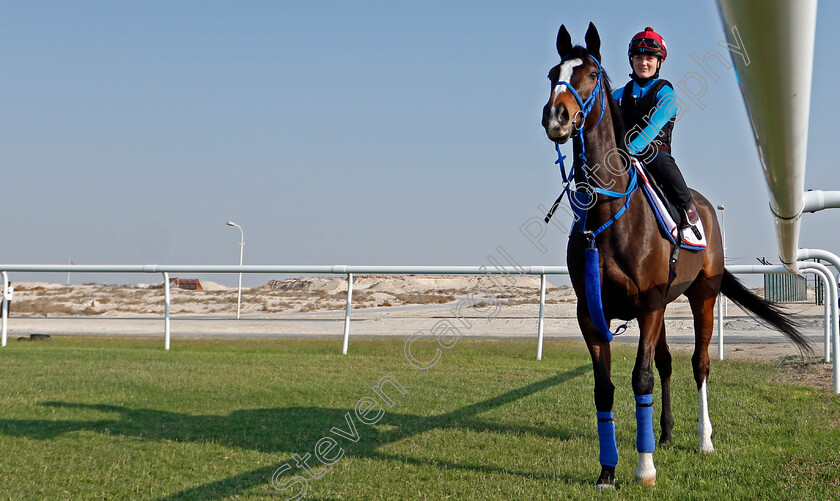 Deirdre-0002 
 DEIRDRE (Hollie Doyle) training for the Bahrain International Trophy
Rashid Equestrian & Horseracing Club, Bahrain, 19 Nov 2020 - Pic Steven Cargill / Racingfotos.com