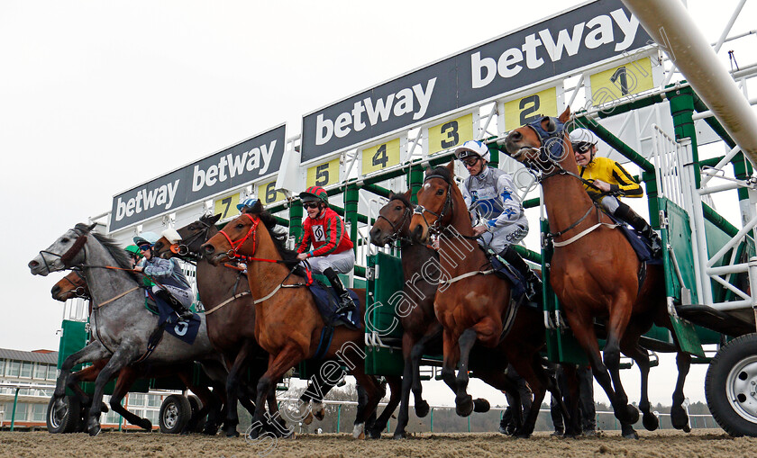 Easy-Tiger-0001 
 EASY TIGER (left, Liam Keniry) breaks with GENERAL HAZARD (left) FAYEZ (2nd right) and TOWERLANDS PARK (right) before winning The Betway Handicap Lingfield 6 Jan 2018 - Pic Steven Cargill / Racingfotos.com