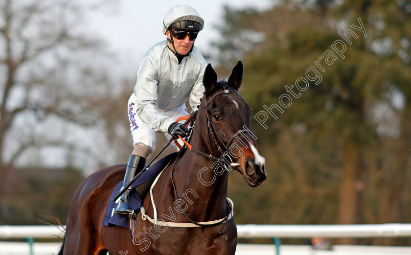 River-Glades-0002 
 RIVER GLADES (Joe Fanning) Lingfield 23 Feb 2018 - Pic Steven Cargill / Racingfotos.com