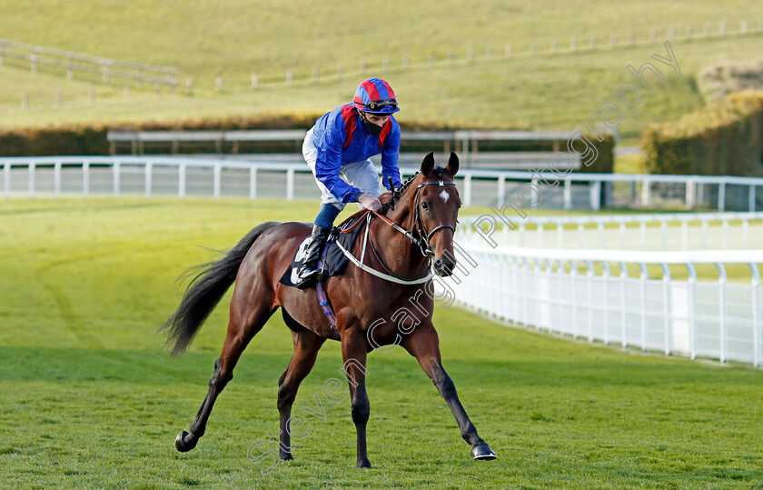 King-Frankel-0002 
 KING FRANKEL (William Buick)
Goodwood 11 Oct 2020 - Pic Steven Cargill / Racingfotos.com