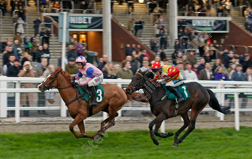 Fortune-De-Mer-0002 
 FORTUNE DE MER (Harry Skelton) beats BLOCK ROCKIN BEATS (right) in The Junior Jumpers Open National Hunt Flat Race
Cheltenham 17 Nov 2024 - Pic Steven Cargill / racingfotos.com