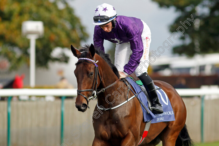 Oliva-Maralda-0001 
 OLIVIA MARALDA (Rossa Ryan)
Newmarket 23 Sep 2022 - Pic Steven Cargill / Racingfotos.com