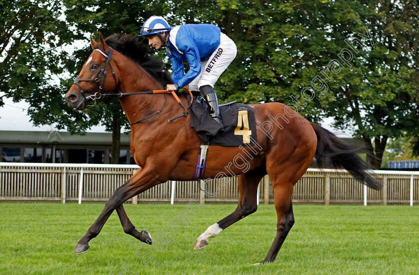 Naqeeb-0001 
 NAQEEB (Richard Kingscote)
Newmarket 28 Jul 2023 - Pic Steven Cargill / Racingfotos.com