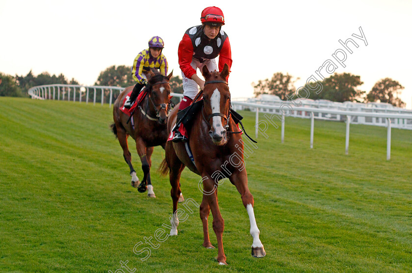 Master-Milliner-0001 
 MASTER MILLINER (Cieren Fallon)
Sandown 21 Jul 2021 - Pic Steven Cargill / Racingfotos.co