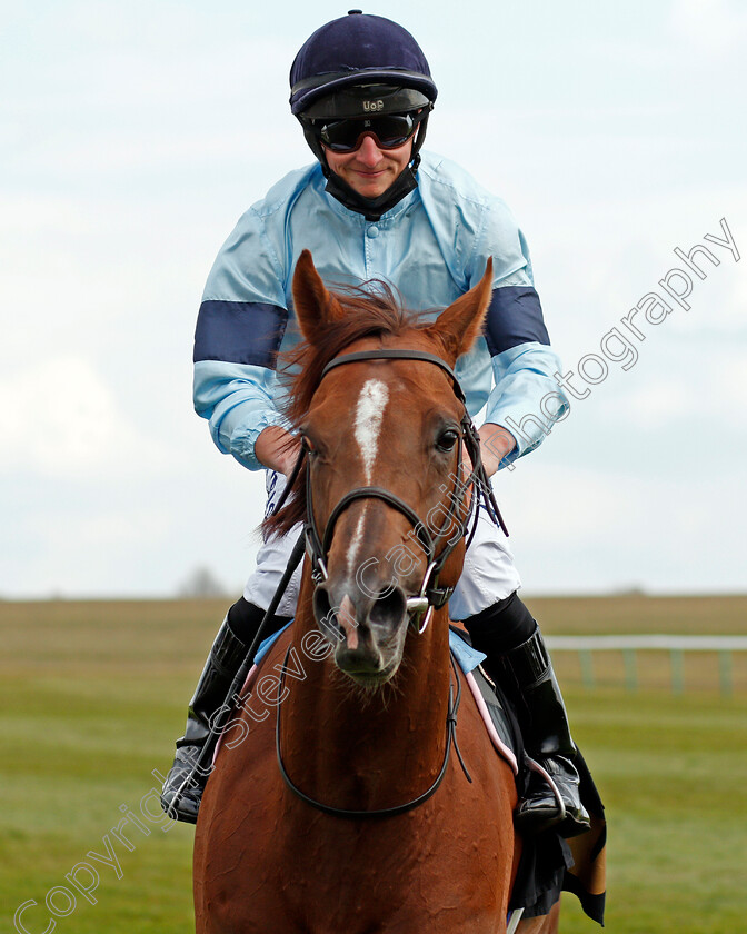 Parachute-0005 
 PARACHUTE (Tom Marquand) after The Betfair Weighed In Podcast Handicap
Newmarket 2 May 2021 - Pic Steven Cargill / Racingfotos.com