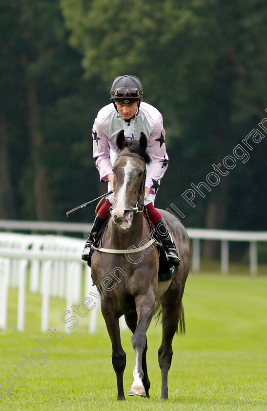 Unfinishedsympathy-0001 
 UNFINISHEDSYMPATHY (Rob Hornby)
Salisbury 2 Sep 2021 - Pic Steven Cargill / Racingfotos.com