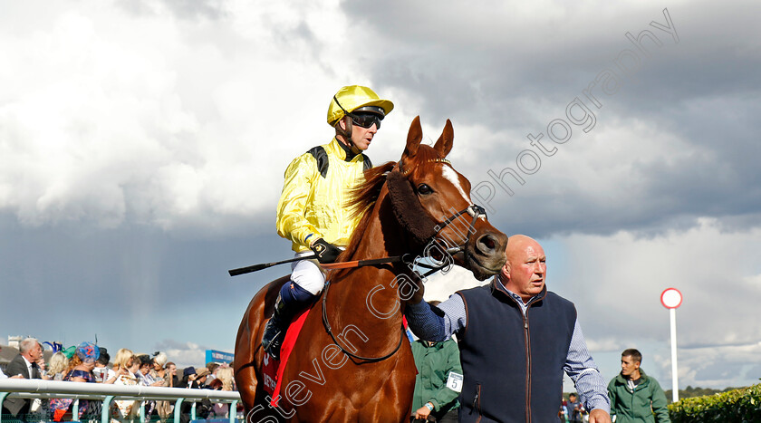 Nakheel-0013 
 NAKHEEL (Jim Crowley) winner of The Betfred Park Hill Stakes
Doncaster 12 Sep 2024 - Pic Steven Cargill / Racingfotos.com