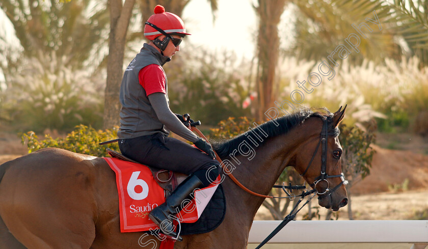 Get-Shirty-0001 
 GET SHIRTY training for the Red Sea Turf Handicap
King Abdulaziz Racecourse, Kingdom Of Saudi Arabia, 23 Feb 2023 - Pic Steven Cargill / Racingfotos.com