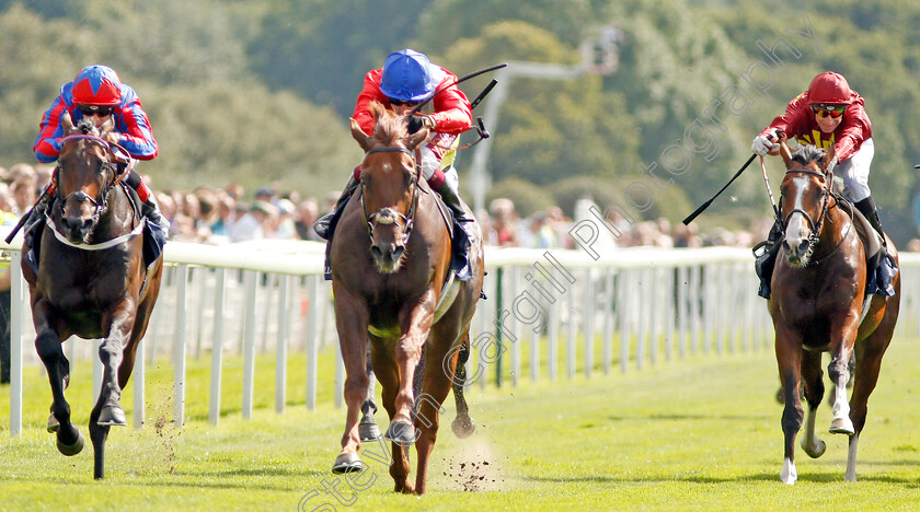 Threat-0001 
 THREAT (centre, Oisin Murphy) beats LORD OF THE LODGE (left) in The Al Basti Equiworld Dubai Gimcrack Stakes 
York 23 Aug 2019 - Pic Steven Cargill / Racingfotos.com