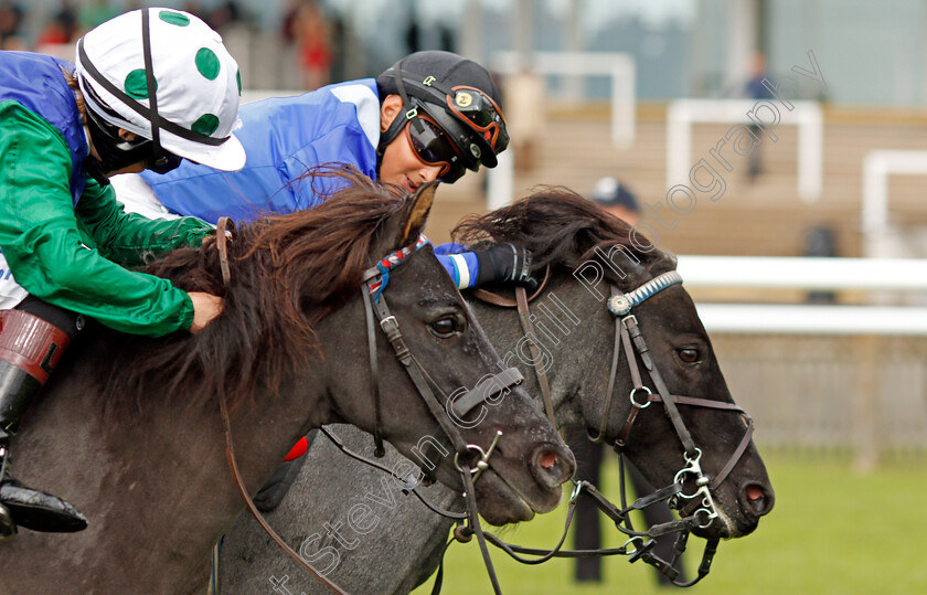 Briar-Smokey-Joe-0001 
 BRIAR SMOKEY JOE (farside, Zak Kent) wins The Shetland Pony Grand National Flat Race
Newmarket 27 Sep 2019 - Pic Steven Cargill / Racingfotos.com