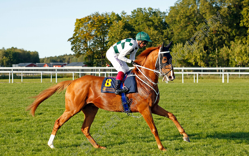 Hard-One-To-Please-0002 
 HARD ONE TO PLEASE (Frankie Dettori)
Bro Park 17 Sep 2023 - Pic Steven Cargill / Racingfotos.com