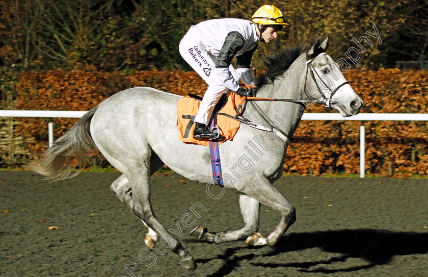 Oi-The-Club-Oi s-0001 
 OI THE CLUBB OI'S (Richard Kingscote) Kempton 13 Dec 2017 - Pic Steven Cargill / Racingfotos.com