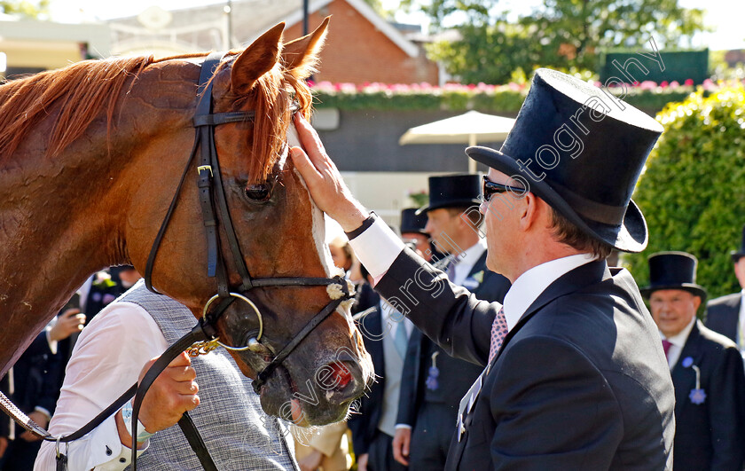 Kyprios-0009 
 KYPRIOS and Aidan O'brien after The Gold Cup
Royal Ascot 20 Jun 2024 - Pic Steven Cargill / Racingfotos.com