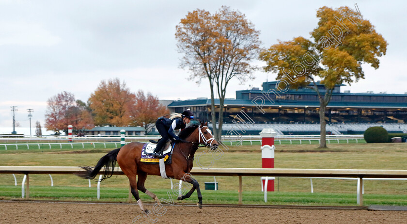 Malathaat-0003 
 MALATHAAT training for the Breeders' Cup Distaff
Keeneland, USA 31 Oct 2022 - Pic Steven Cargill / Racingfotos.com