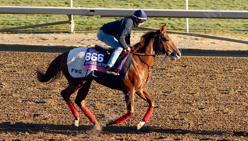 Les-Pavots-0001 
 LES PAVOTS training for The Breeders' Cup Juvenile Fillies Turf
Santa Anita USA, 31 October 2023 - Pic Steven Cargill / Racingfotos.com