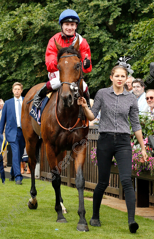 Veracious-0018 
 VERACIOUS (Oisin Murphy) after The Tattersalls Falmouth Stakes
Newmarket 12 Jul 2019 - Pic Steven Cargill / Racingfotos.com