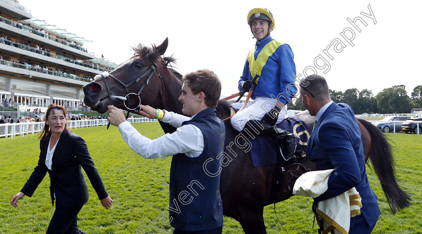 Poet s-Word-0011 
 POET'S WORD (James Doyle) after The Prince Of Wales's Stakes 
Royal Ascot 20 Jun 2018 - Pic Steven Cargill / Racingfotos.com