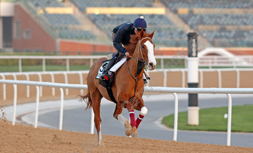 Freescape-0001 
 FREESCAPE exercising for trainer David Marnane
Meydan, Dubai, 3 Feb 2022 - Pic Steven Cargill / Racingfotos.com