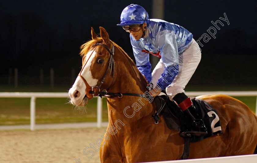 Swift-Approval-0001 
 SWIFT APPROVAL (Ben Curtis)
Chelmsford 11 Jan 2020 - Pic Steven Cargill / Racingfotos.com