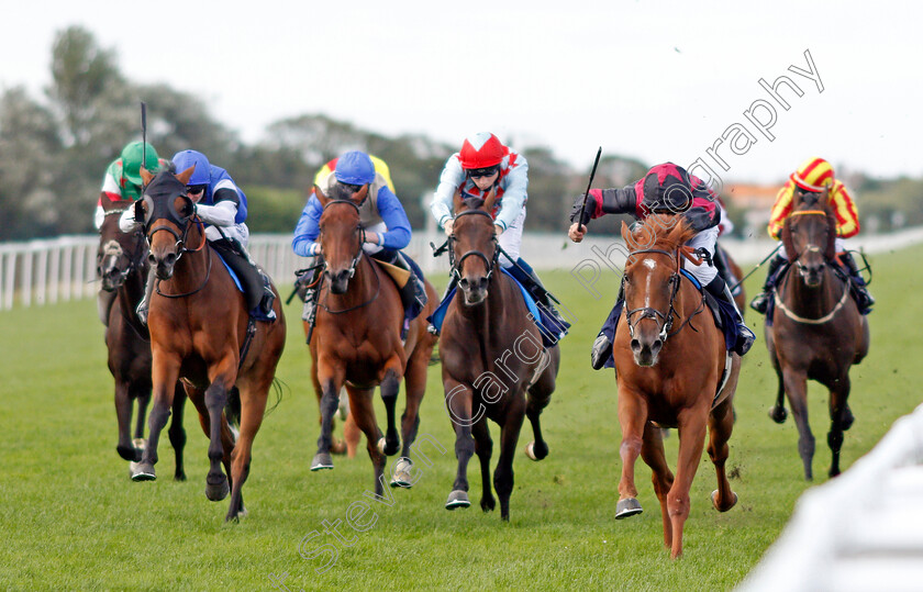 Awesomedude-0001 
 AWESOMEDUDE (John Egan) beats MOTAMAYIZ (left) in The Final Furlong Podcast Handicap
Yarmouth 28 Jul 2020 - Pic Steven Cargill / Racingfotos.com