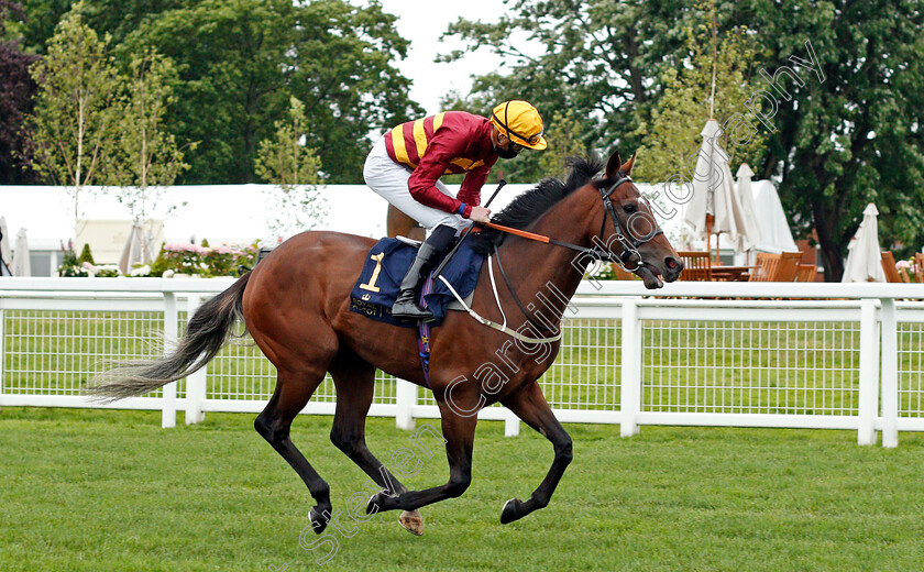 Gear-Up-0001 
 GEAR UP (James Doyle) 
Ascot 18 Jun 2021 - Pic Steven Cargill / Racingfotos.com