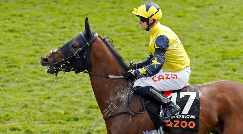 West-Wind-Blows 
 WEST WIND BLOWS (Jack Mitchell)
Epsom 4 Jun 2022 - Pic Steven Cargill / Racingfotos.com